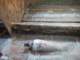 hull14_small.jpg