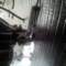 yanmar38_small.jpg