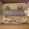 yanmar43_small.jpg